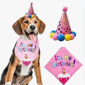 Pink Dog Birthday Bandana and Party Hat Set NEW celebrate your fur baby in style